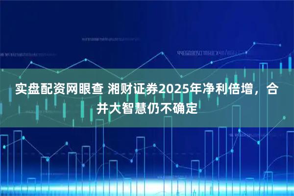 实盘配资网眼查 湘财证券2025年净利倍增，合并大智慧仍不确定