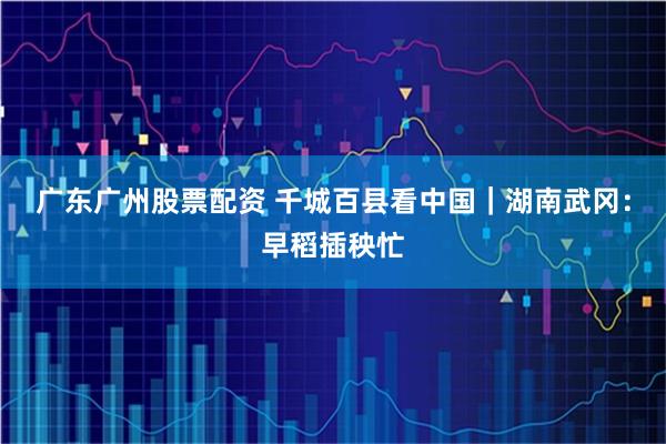 广东广州股票配资 千城百县看中国｜湖南武冈：早稻插秧忙